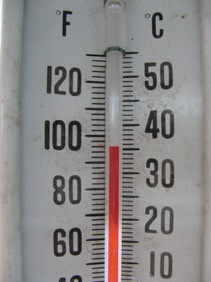 July30Temp